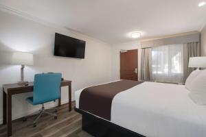 a bedroom with a bed and a desk with a blue chair at SureStay Plus Hotel by Best Western Upland - Ontario North in Upland