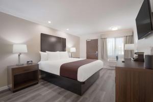 a hotel room with a large bed and a desk at SureStay Plus Hotel by Best Western Upland - Ontario North in Upland