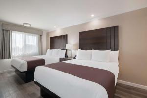 a hotel room with two beds and two windows at SureStay Plus Hotel by Best Western Upland - Ontario North in Upland