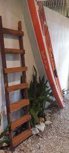 Foto dalla galleria di treehouse above the beach a Port Antonio