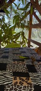 Giardino di treehouse above the beach