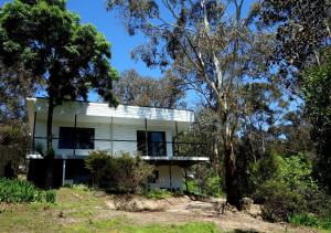 Κήπος έξω από το Peaceful bush retreat in newly renovated lodge in St Andrews