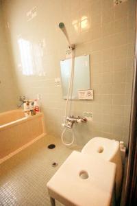 a bathroom with a toilet and a shower in it at Lodge Q in Hakuba