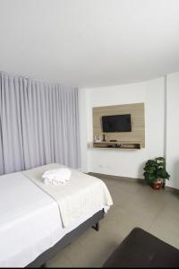 a bedroom with a bed and a flat screen tv at Apartamento 1009 in Goiânia