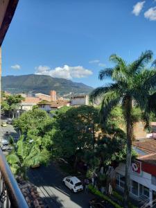 desde el balcón de una ciudad con una palmera en Casa Gloria, en Medellín