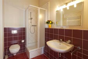 bagno con lavandino, servizi igienici e specchio di Villa Maria Wohnung 06 a Ostseebad Koserow