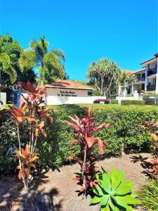 a garden with plants and trees and a building at Luxury Residence Turtle Bay Resort in Gold Coast