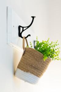 a plant in a basket hanging from a window at The Edward Townhouse 155 - Steps to Town in Orange