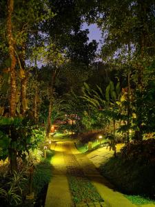 Zahrada ubytování Willow Resorts Wayanad