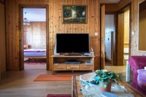 sala de estar con TV en una pared de madera en Chalet Sunnuterrasse en Rosswald