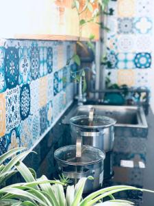 - une cuisine avec un évier et 2 casseroles avec des plantes dans l'établissement La Casa Homestay - 11B Anh Đào, Bãi Cháy, à Hạ Long