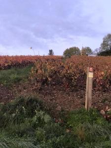 una señal en medio de un campo en Ravissant appartement dans cadre verdoyant en Marchampt