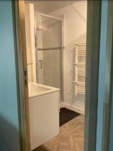 a white bathroom with a walk in shower next to a closet at Ravissant appartement dans cadre verdoyant in Marchampt