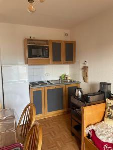 uma pequena cozinha com um frigorífico e um lavatório em Appartement 6 places La Toussuire em La Toussuire