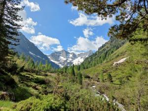 widok na dolinę w górach w obiekcie Appartement Summerer Peter w Mayrhofen +13 zdjęć