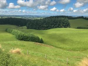 un campo verde con árboles y una valla en una colina en Southland Organic Farmstay, en Invercargill