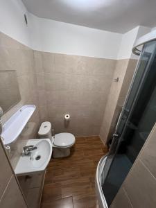 ザコパネにあるJanickowa Ostojaのバスルーム(トイレ、洗面台、シャワー付)