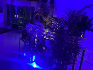 una stanza con tavolo con piante e luci blu di Downtown Al Bahar Apartments a Dubai