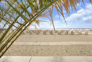 Plaża w apartamencie lub w pobliżu