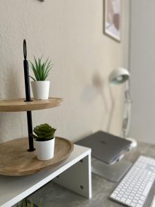 - un bureau avec 2 plantes en pot et un ordinateur portable dans l'établissement Altstadtflair, à Coblence