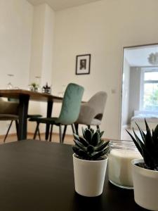 uma sala de estar com uma mesa com duas plantas em Altstadtflair em Koblenz