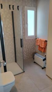 a bathroom with a shower and a toilet and a window at ÁTICO Pleno centro Parking in León +11 photos