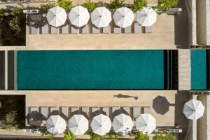 Fotografie z fotogalerie ubytování Minthis Resort v destinaci Paphos City