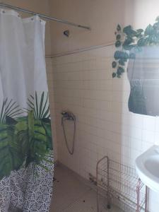 a bathroom with a shower with a plant at Joli appartement avec vue. Dakar Plateau. Lumineux et fleurie in Dakar