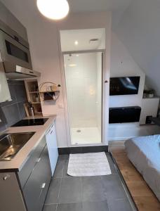 a small kitchen with a shower and a bed at Cosy studio Saint-Lazare in Paris