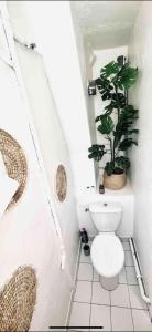 a bathroom with a toilet and a potted plant at Cosy studio Saint-Lazare in Paris