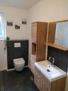 ein Bad mit einem WC und einem Waschbecken in der Unterkunft Ferienwohnung Maustadt in Memmingen
