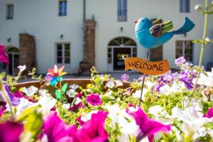 een blauwe vogel op een bord in een bed van bloemen bij Agriturismo Villa La Fontina in Castiglion Fiorentino