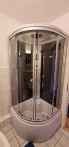 a shower with a glass door in a bathroom at Ferienwohnung Vennen in Görlitz