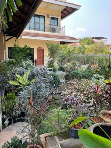 un giardino di fronte a una casa con piante di Laph Kham House a Chiang Mai