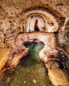 una vecchia grotta con una piscina d'acqua in una grotta di Residence Terme Belliazzi- Isola d'Ischia a Ischia