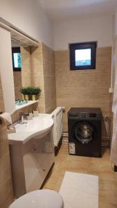 a bathroom with a sink and a washing machine at Ambiennt in Bucharest