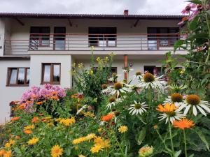 un jardín de flores frente a un edificio en Dom przy lesie en Zawadka