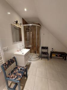 y baño con ducha, lavabo y silla. en Dom przy lesie en Zawadka