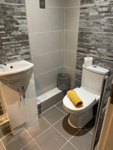 a bathroom with a white toilet and a sink at City Centre 1 Bed Sleeps 4 H5 in Hull