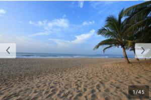 una palma su una spiaggia sabbiosa con l'oceano di Batti Relax Point a Batticaloa