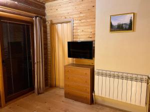 un soggiorno con TV su un comò in legno di Cottage Forest House a Skhidnytsia