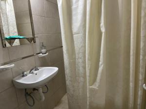 baño con lavabo y cortina de ducha en Departamentos Alberdi 3 en San Rafael