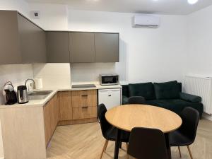 Kuchnia lub aneks kuchenny w obiekcie Apartament Metropolis 15