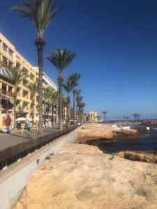 plaża z palmami, budynkami i wodą w obiekcie Apartament Claro w mieście Torrevieja