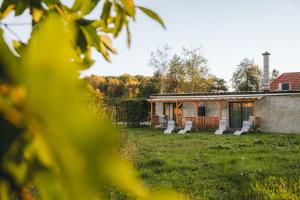 Zahrada ubytování Monschein Weingut Straden