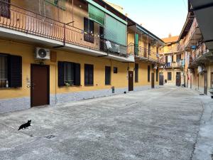 un gato negro caminando por una calle vacía en CA FOSCARI Loft & Factory, en Milán