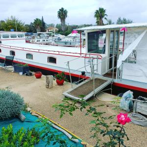 a boat is docked in a marina with plants at PENICHE FARNIENTE CLIMATISEE - Aux Portes de la Camargue in Bellegarde