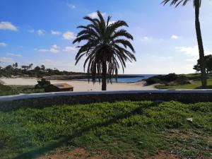 Blick auf einen Strand mit Palmen und das Meer in der Unterkunft toni's apartament Menorca in Cala'n Bosch