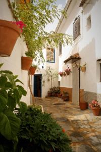 Zahrada ubytování HOSTAL MONCADA