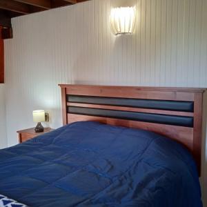a bedroom with a blue bed with a light on the wall at Domo Las araucarias in Negrete